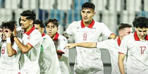 القنوات الناقلة لمباراة تونس ونيجيريا اليوم في كأس أفريقيا - نجد الاخبارية