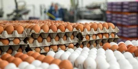 أسعار
      البيض
      والكتاكيت
      اليوم
      الأحد
      4
      مايو
      2025 - نجد الاخبارية