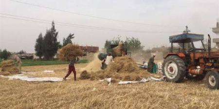 مصرع
      سيدة
      اصطدمت
      بسير
      ماكينة
      دريس
      القمح
      في
      الفشن
      ببني
      سويف - نجد الاخبارية