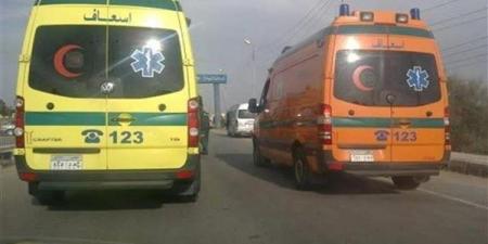 مصرع
      شخصين
      وإصابة
      9
      عاملا
      في
      تصادم
      سيارة
      نقل
      وميكروباص
      بمدينة
      بدر - نجد الاخبارية