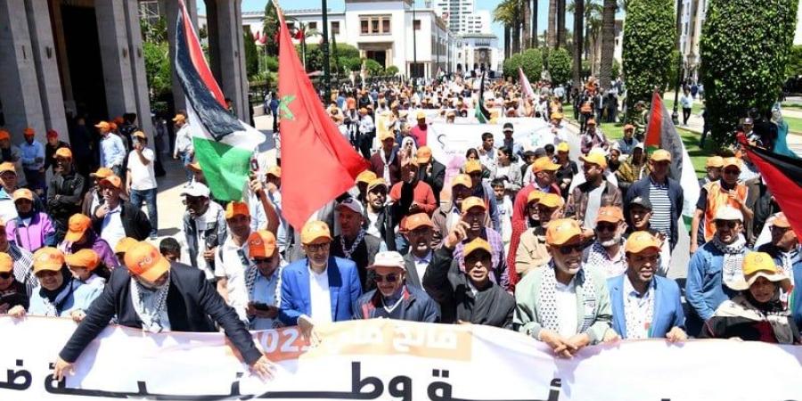 "نقابة
      البيجيدي"
      تستنكر
      ارتفاع
      البطالة
      وتدهور
      القدرة
      الشرائية
      للمغاربة - نجد الاخبارية