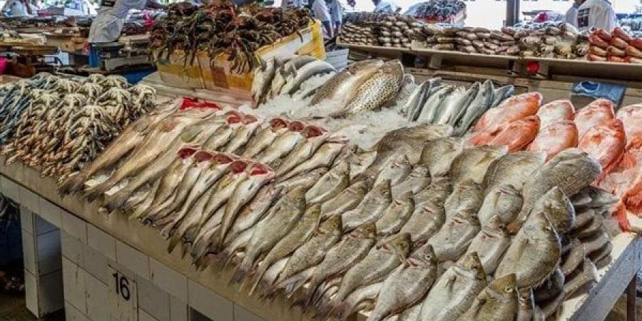 أسعار
      الأسماك
      اليوم
      الجمعة
      2
      مايو
      2025 - نجد الاخبارية
