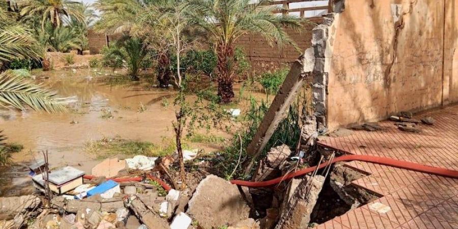 متطوعون
      ينقذون
      محاصرين
      بزاكورة - نجد الاخبارية
