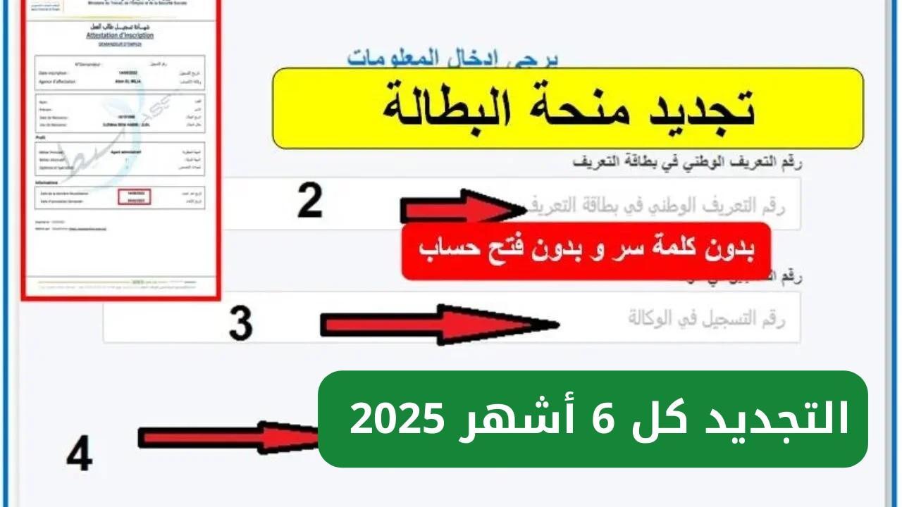 راك قاعد؟ تجديد منحة البطالة الجزائر 2025 يجيك واجد وانت في داركم