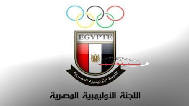 محكمة الجنح الاقتصادية تعاقب رويدا أشرف بتهمة نشر أخبار كاذبة.. و10 ملايين جنيه تعويض