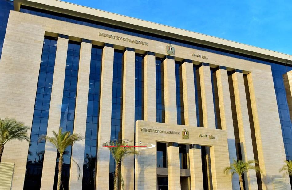وظائف الشركات الوهمية تطيح بمستقبل آلاف الشباب بعقود مزيفة.. و«العمل» تتصدى لهؤلاء