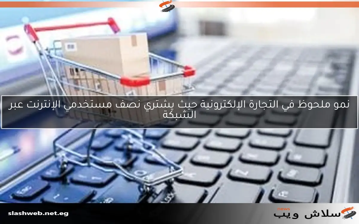 نمو ملحوظ في التجارة الإلكترونية حيث يشتري نصف مستخدمي الإنترنت عبر الشبكة
