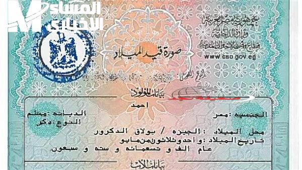 دزاير: شهادتك دايمًا في جيبك.. طريقة استخراج شهادة الميلاد الرقمية في موبايلك بسهولة
