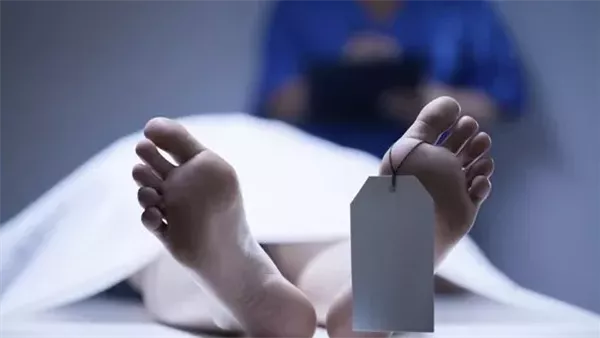 جريمة الـ«عشة».. فريق بحث لكشف غموض العثور على جثة متفحمة بالجيزة
