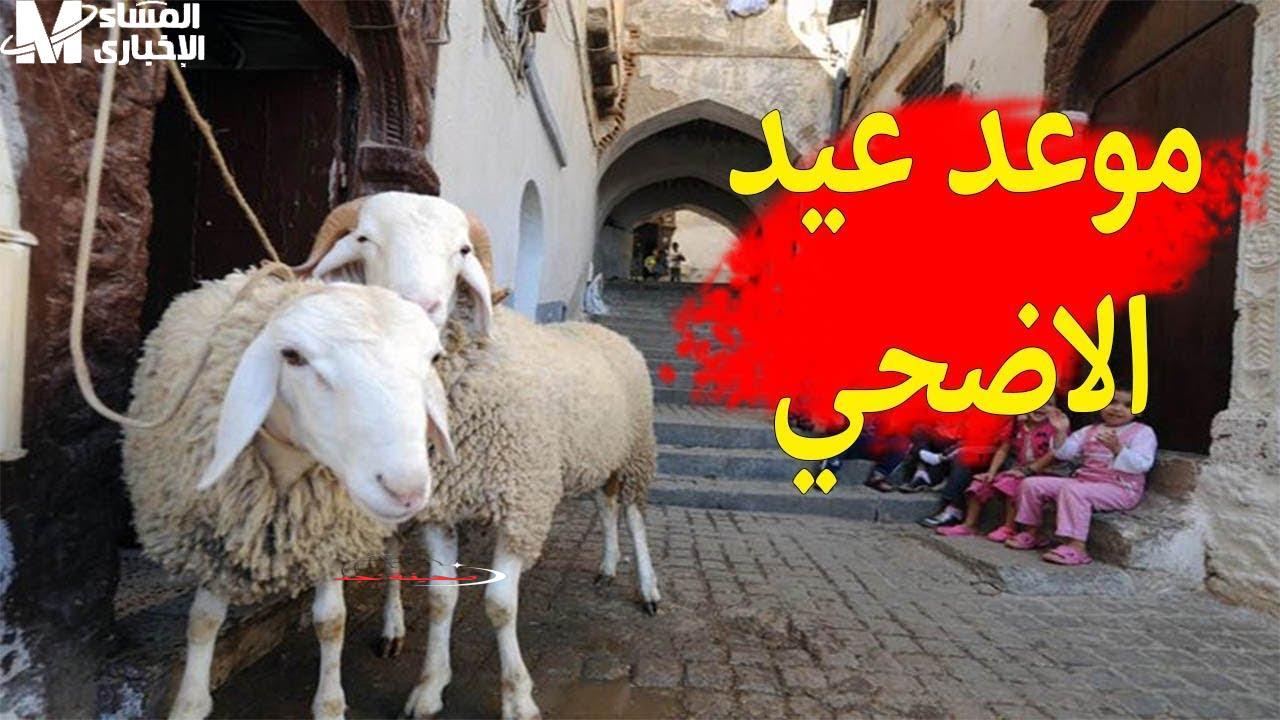 ليبيـا: صلاتك عيد وفرحة! موعد صلاة عيد الأضحى المبارك في ليبيا بالساعة والدقيقة