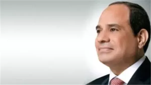 استمرار الدعم المصري.. الرئيس السيسي يلتقي رئيس مجموعة البنك الأفريقي للتنمية