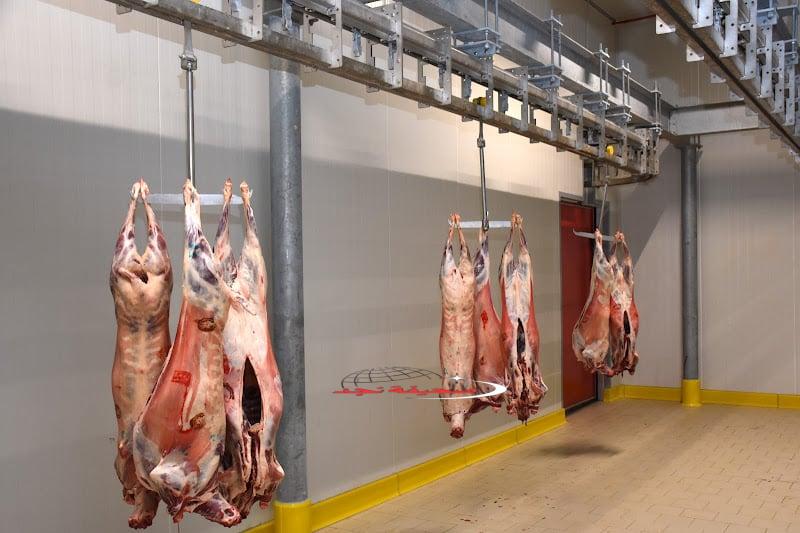 غياب النحر المجازر المغربية في حالة فوضى قرارات عاجلة لإنهاء الزحام