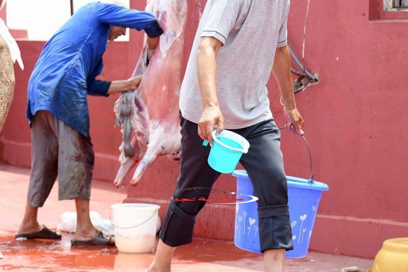 فعاليات مدنية تنادي بتكثيف حملات التوعية لتجنب النحر في عيد الأضحى