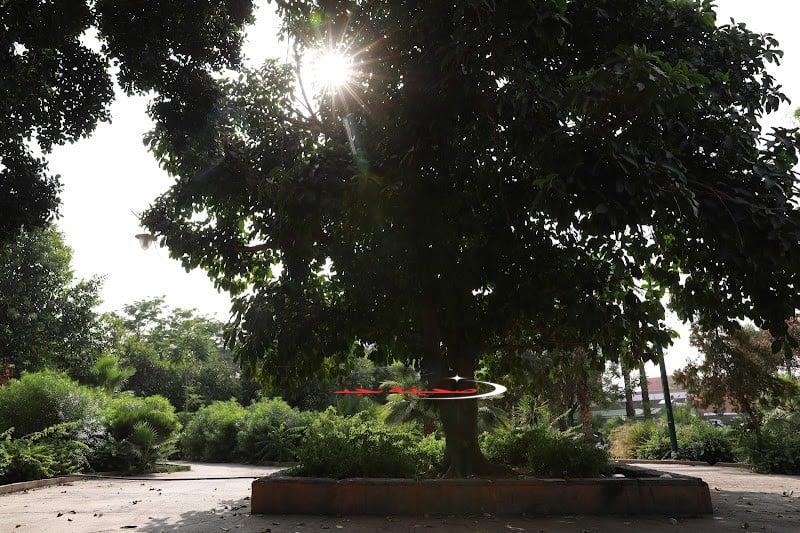 واه يا معلم! حرارة جهنمية تضرب المغرب وتعدي الخيال