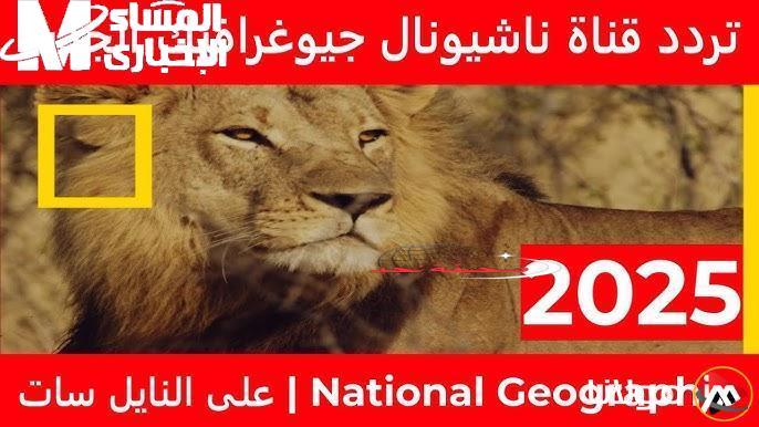 البرية اتصورت بجودة سينمائية.. تردد قناة ناشيونال جيوغرافيك على كل الأقمار