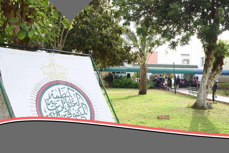 يا جدعان: الحج فُل أُبهة للمكفوفين برعاية ملكية!