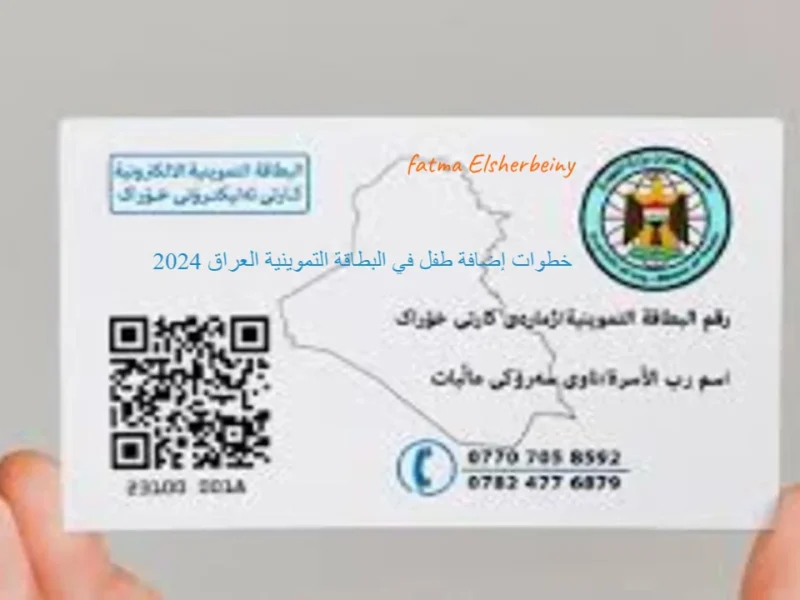 <p><strong>يا باشا، وأنت في مكانك: جدد بطاقة التموين أونلاين ببساطة! (دليل شامل)</strong></p>