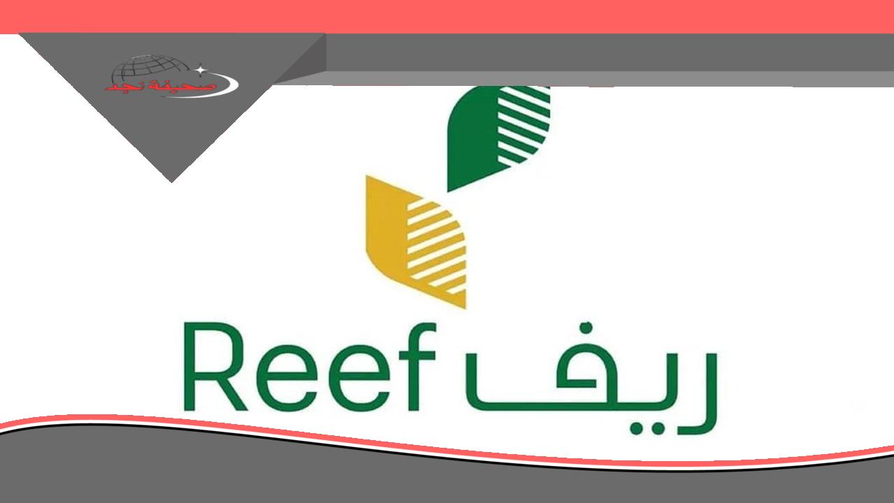 يا صاحبي الحق.. بالرابط والخطوات: الاستعلام عن ريف شهر يونيو 2025 لجميع المستفيدين