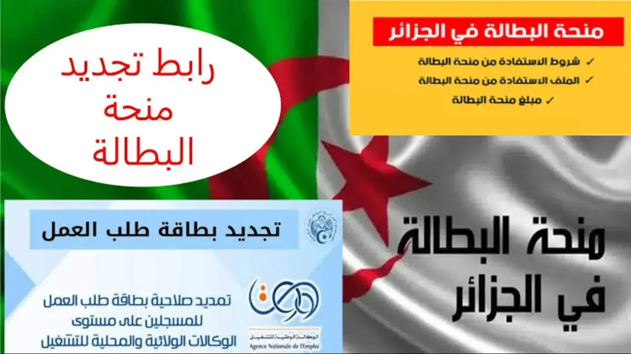 المنحة ظهرت أخيرًا.. طريقة التسجيل في منحة البطالة الجزائرية 2025 