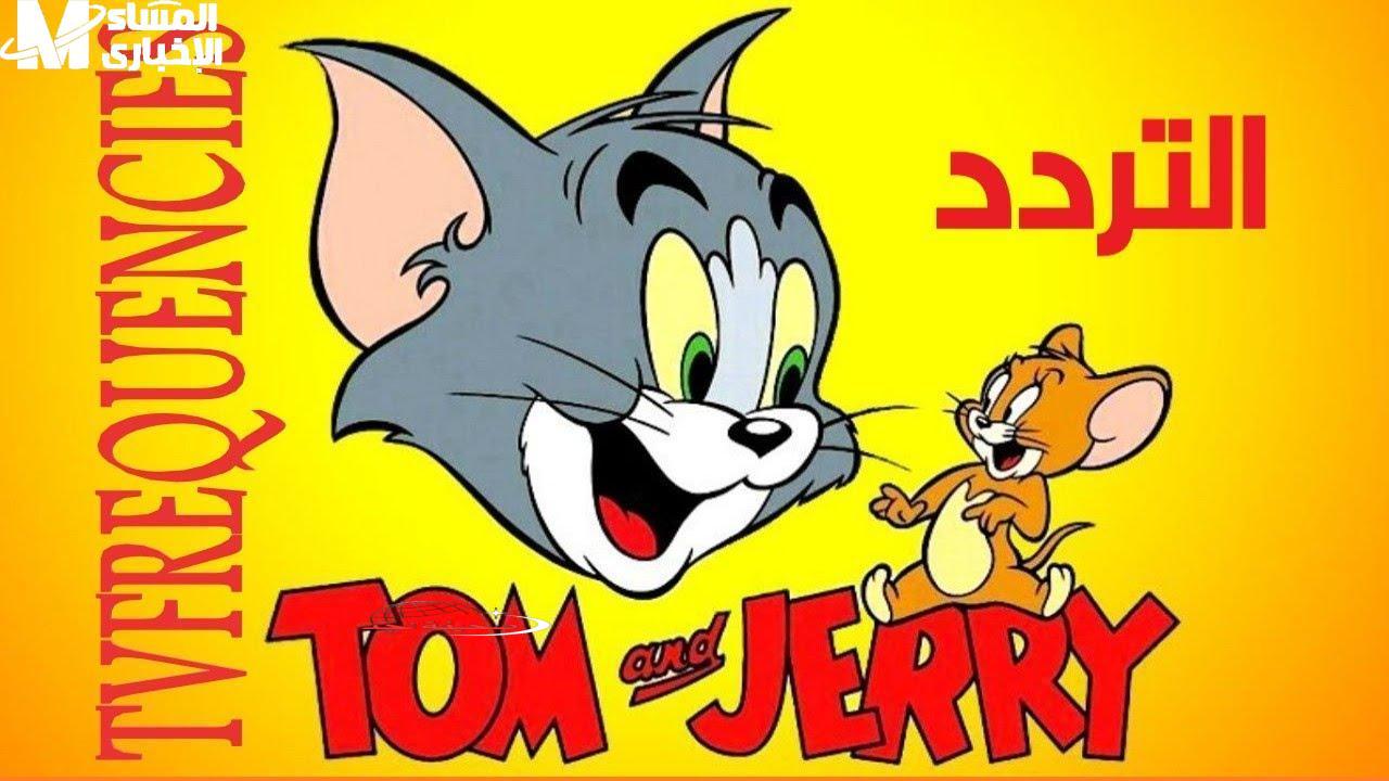 توم وجيري يعودون إلينا: ذكريات الطفولة تنبض من جديد على قناة توم وجيري!