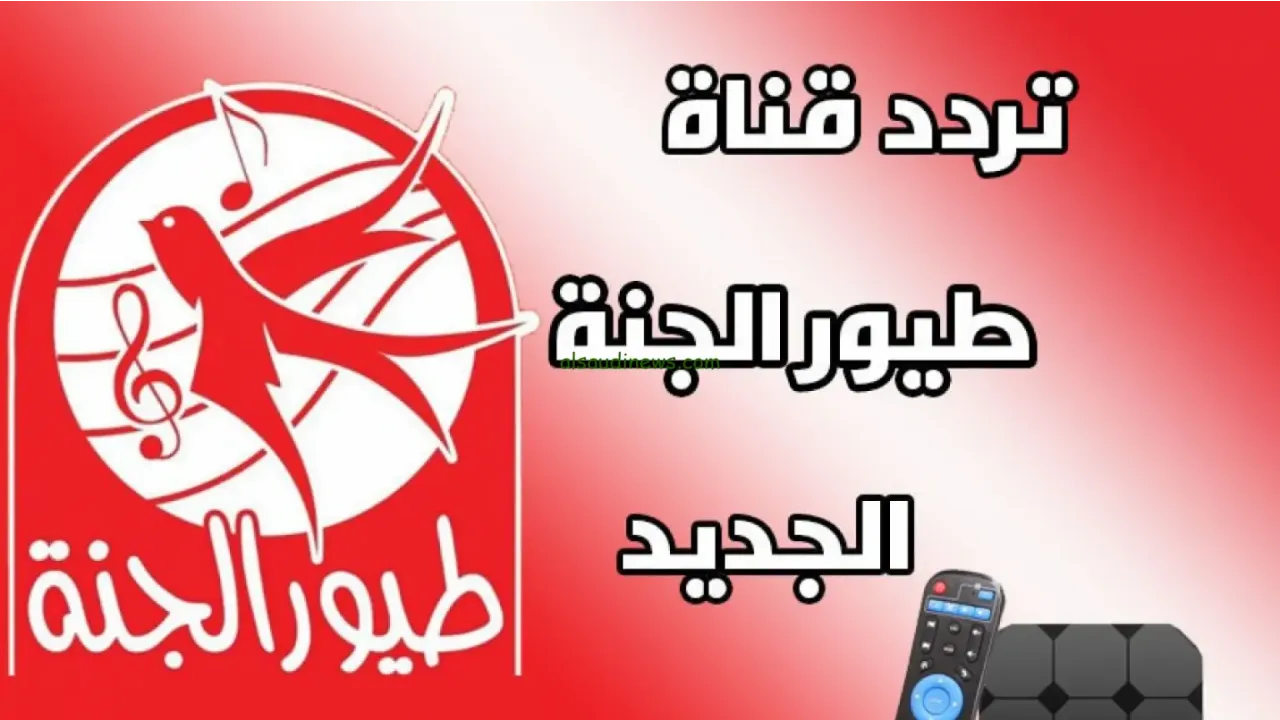 خلي الضحكة تنور بيتك طول اليوم: تردد طيور الجنة الجديد يا معلم هيفرح عيالك!
