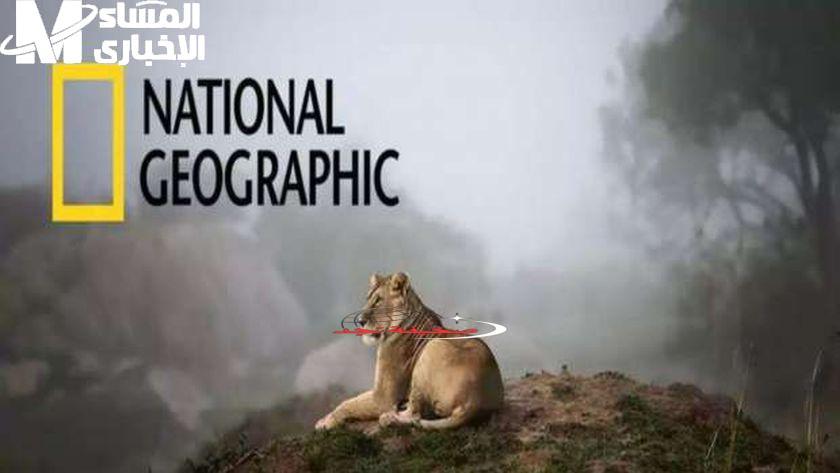 تردد قناة ناشيونال جيوغرافيك الجديد: استمتع بمشاهدة Nat Geo بدون تقطيع يا معلم!