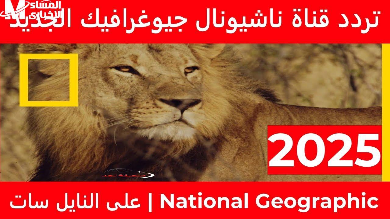 يا جدعان تردد قناة ناشيونال جيوغرافيك الجديد: عيش الحياة البرية بكل تفاصيلها ومميزاتها