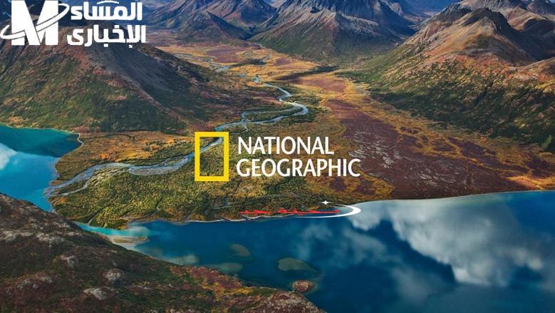 الحياة البرية في أبهى صورها: عالم الحيوان على ناشيونال جيوغرافيك – رحلة استكشافية شيقة