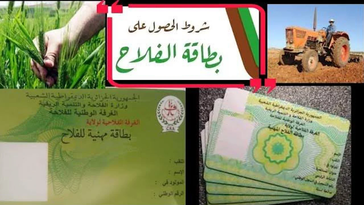 يا صاحبي في الجزائر: بطاقة الفلاح بين يديك! خدمة زراعية هامة.. طريقة الحصول عليها بسهولة