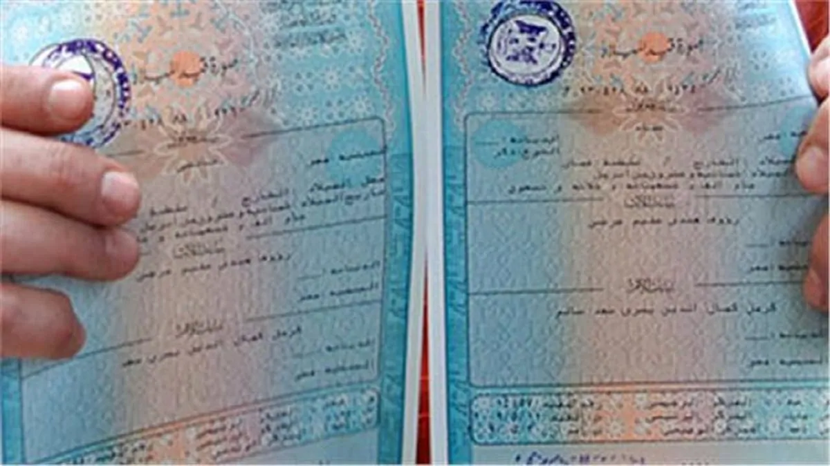 الورق طار من المكاتب.. إصدار شهادة الميلاد الرقمية للأسر الحاضنة سرعة خارقة