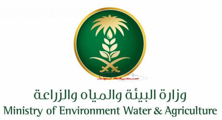 #بيئة_الطائف تكثّف جولاتها الرقابية على أسواق النفع العام استعدادًا لموسم الحج