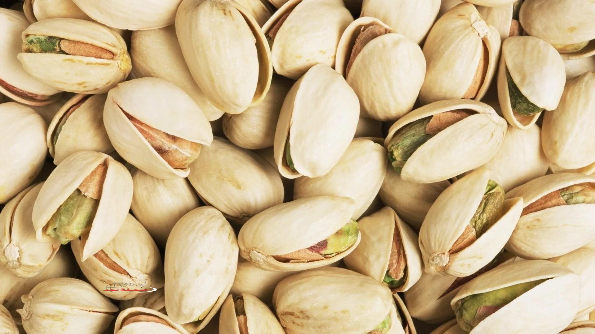 دينامو الطاقة.. لماذا يحتاج الرياضيون الفستق لأداء التمارين