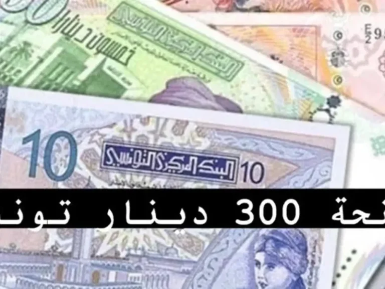 يا معلم: التسجيل اتفتح تاني رسميًا لمنحة تونس للأسر المستحقة 2025 – وزارة الشئون توضح بيان شامل
