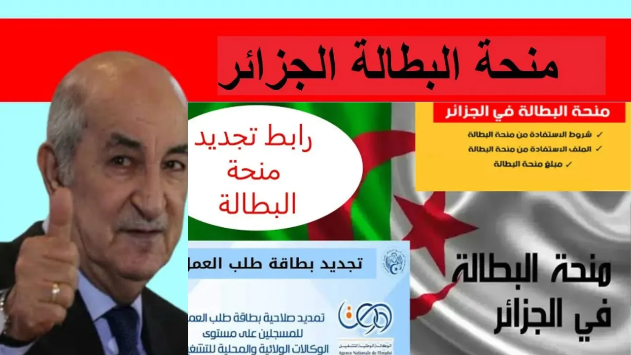 يا فرحة الشباب البطال! منحة البطالة في الجزائر رجعت وبشروط ولا أسهل