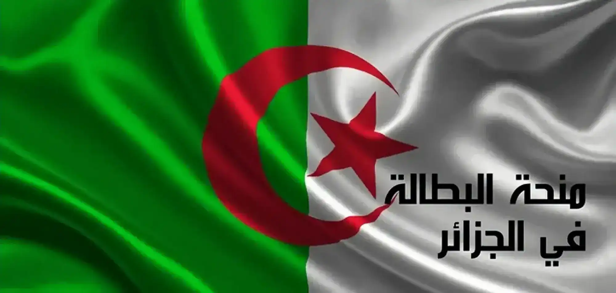 ياو المنحة قربت تتجدد رسميًا: خطوات تجديد منحة البطالة في الجزائر 2025 لضمان الدعم