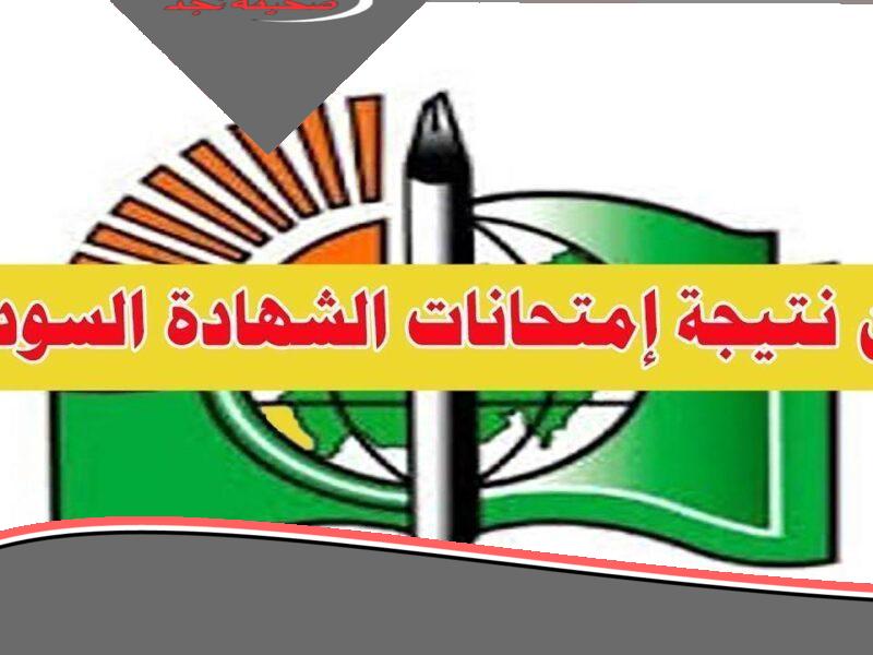 الشهادة قدامك دلوقتي.. نتيجة الشهادة السودانية 2025 رابط الثانوية العامة مبروك
