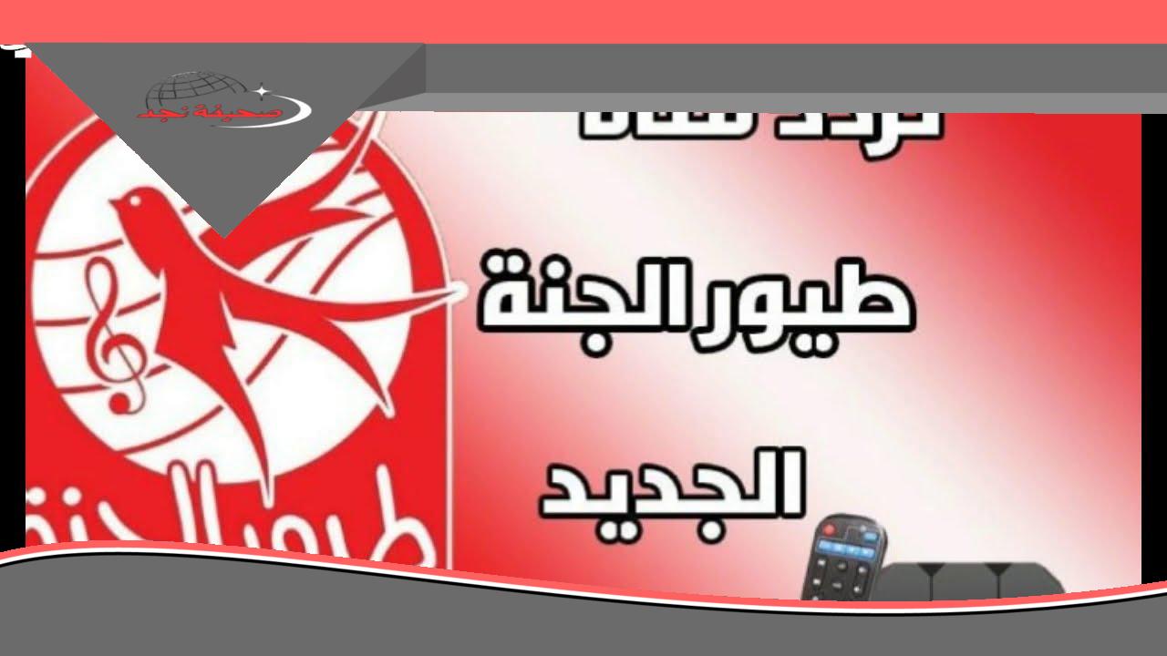 تردد طيور الجنة 2025 الجديد: ابتسم لطفلك وشاهده يستمتع بضحكات لا تقدر بثمن.