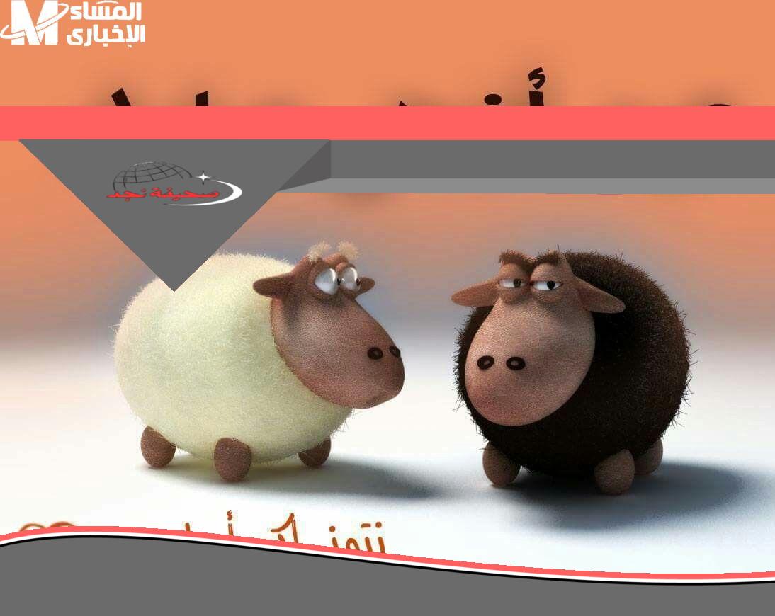 <p><strong>يا حزركم.. كم باقي على عيد الأضحى 2025 في سوريا واليمن؟</strong></p>