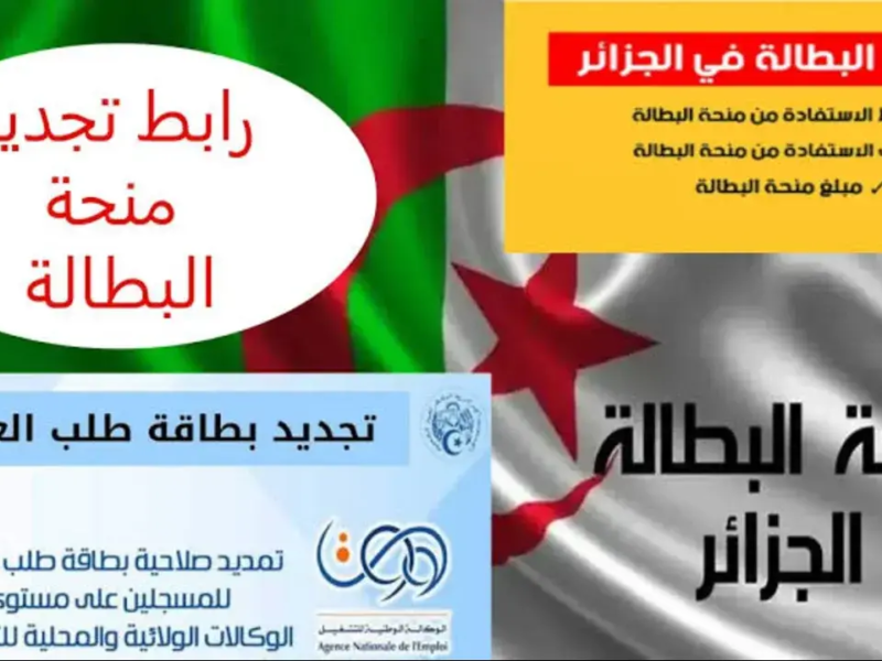 ياخويا باردة! المنحة الكل بيستناها.. طريقة التسجيل في منحة البطالة الجزائرية بخطوات بسيطة قدّم حالًا
