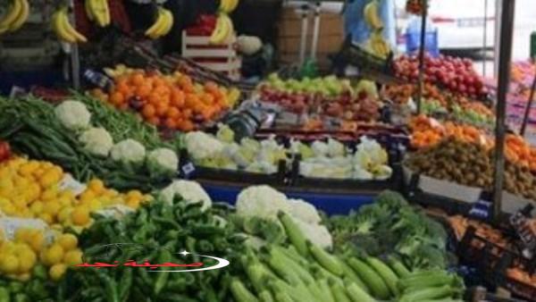«اكتشف أحدث الأسعار» أسعار الخضراوات والفاكهة اليوم الخميس 19 يونيو 2025