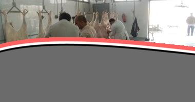 الوادى الجديد تستعد لعيد الأضحى بتجهيز المجازر ونقاط الذبح
