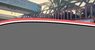 كفر الشيخ تواصل مشروع الأضاحي لدعم الفئات الأكثر احتياجا