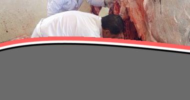 الأقصر تفتح أبواب مجازرها لاستقبال أضاحي المواطنين مجانًا خلال عيد الأضحى