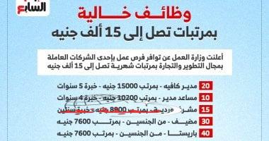«وظيفة الأحلام في انتظارك!» فرص عمل واعدة في المحافظات بمرتبات مجزية تصل إلى 15 ألف جنيه.. إنفوجراف