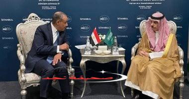 «تأكيد حاسم» مصرى سعودى على ضرورة التوصل لاتفاق بشأن البرنامج النووى الإيرانى