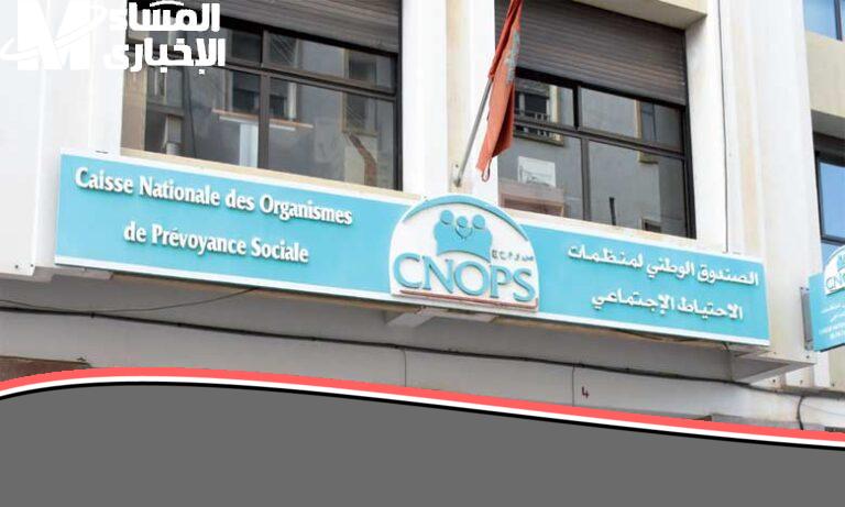 تقدر تحمل شهادتك..ابدأ خطواتك الجديدة مع موقع كنوبس المغرب الذي أصبح جاهزًا الآن