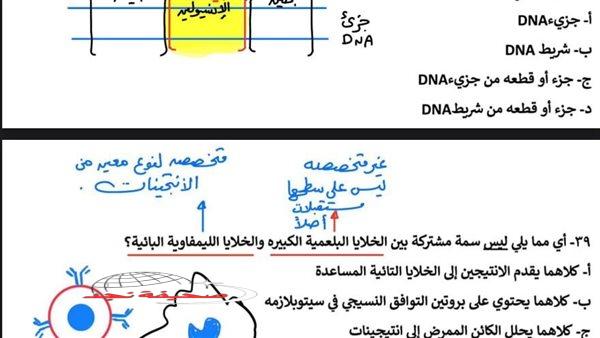 «استعد لامتحان الأحياء بثقة!» 43 سؤالًا مُراجعة في علم الأحياء لطلاب الصف الثالث الثانوي 2025