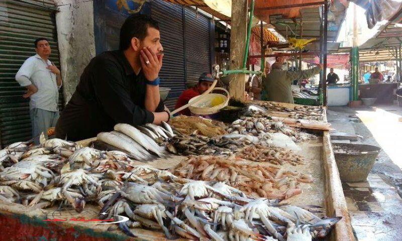 «لا تفوتها!» أسعار الأسماك وثمار البحر اليوم 27-6-2025