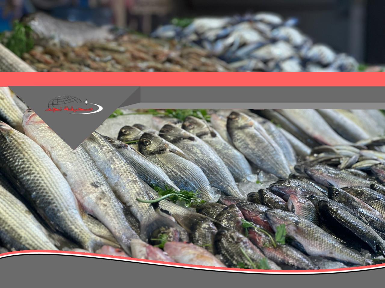 أسعار الأسماك في الأسواق اليوم الإثنين 9-6-2025