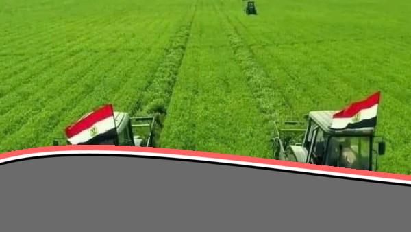فرص استثمارية واعدة بأسعار تنافسية في القطاع الزراعي بمساحات تبدأ من 238 فدان.. التفاصيل الكاملة